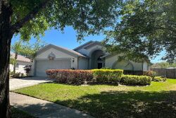 Pre-foreclosure in  JOLLEY CT Valrico, FL 33594