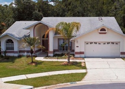 Pre-foreclosure Listing in BURNET LN NEW PORT RICHEY, FL 34654