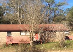 Pre-foreclosure in  US HIGHWAY 84 Red Level, AL 36474