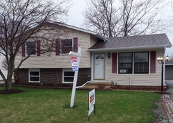 Pre-foreclosure Listing in LILY CACHE LN BOLINGBROOK, IL 60440