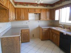 Pre-foreclosure Listing in S WILDWOOD CT CRETE, IL 60417