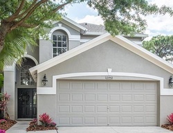  Springrose Dr, Tampa FL