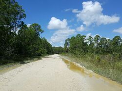 Pre-foreclosure in  WILDCAT DR Fort Myers, FL 33913