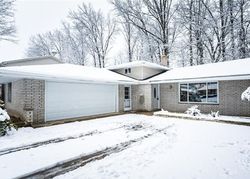 Pre-foreclosure Listing in SAINT JOSEPH DR INDEPENDENCE, OH 44131