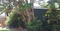 Pre-foreclosure in  SW 67TH AVE Miami, FL 33143