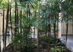 Pre-foreclosure in  BAHIA VISTA ST APT G7 Sarasota, FL 34239