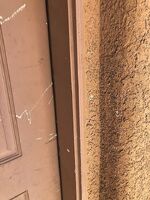 Pre-foreclosure in  BLUE ROSE ST North Las Vegas, NV 89081