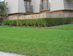  55th Way, West Palm Beach FL