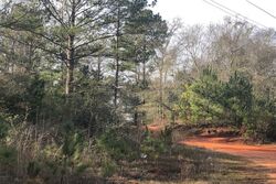 Pre-foreclosure in  ARTHUR BROWN RD Mc David, FL 32568