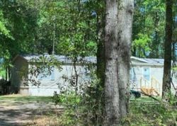 Pre-foreclosure Listing in SW TAMARACK LOOP LAKE CITY, FL 32024