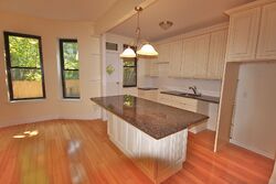 Pre-foreclosure in  MACON ST Brooklyn, NY 11233