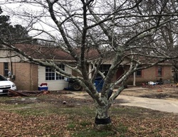 Pre-foreclosure in  CELIA ST Boaz, AL 35957