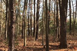  Cedar Swamp Rd, Jackson NJ