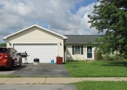 Pre-foreclosure in  N MABEL CT Braidwood, IL 60408