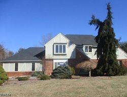 Pre-foreclosure in  COLIN CT Neshanic Station, NJ 08853