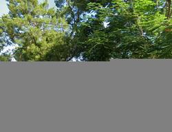 Pre-foreclosure in  W ELM ST Tampa, FL 33604