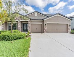  Lago Mist Way, Wesley Chapel FL