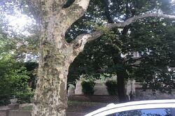 Pre-foreclosure in  LEBANON AVE Philadelphia, PA 19151