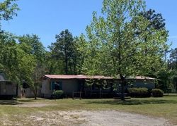 Pre-foreclosure in  EAGLES HAMMOCK BLVD Middleburg, FL 32068