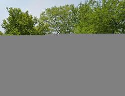 Pre-foreclosure in  RED FOX RUN DR NW Warren, OH 44485