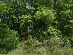 Pre-foreclosure in  LANE WEST RD SW Warren, OH 44481