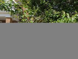 Pre-foreclosure in  ORLAND ST Philadelphia, PA 19126