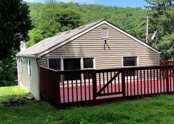 Pre-foreclosure in  E SHORE TRL Stockholm, NJ 07460