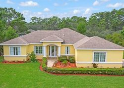 Pre-foreclosure Listing in SAN IGNACIO DR SEBRING, FL 33872