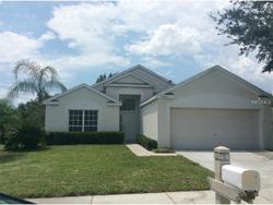 Pre-foreclosure in  MORNINGMIST DR Wesley Chapel, FL 33543