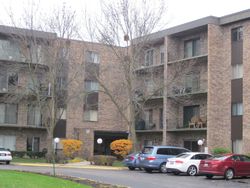 Pre-foreclosure Listing in W HUNTINGTON COMMONS RD APT 203 MOUNT PROSPECT, IL 60056