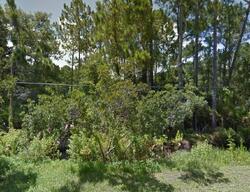 Pre-foreclosure in  SHAWNEE TRL Geneva, FL 32732