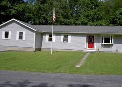 Pre-foreclosure Listing in BIBLE CAMP RD BLOOMINGBURG, NY 12721
