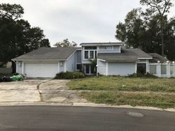 Pre-foreclosure in  BRIAN RD N Palm Harbor, FL 34685