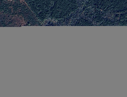 Pre-foreclosure in  QUAIL DR Hamer, SC 29547