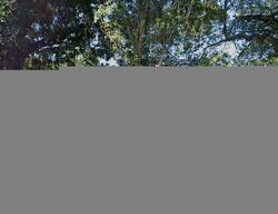 Pre-foreclosure in  BLACKSTONE ST Blackstone, MA 01504