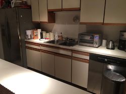 Pre-foreclosure in  N ASTOR ST  Chicago, IL 60610