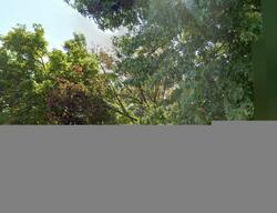 Pre-foreclosure in  CHESTNUT ST Marcus Hook, PA 19061