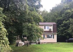 Pre-foreclosure in  E GREEN RD Rock Tavern, NY 12575