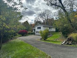 Pre-foreclosure in  BULLET HOLE RD Patterson, NY 12563