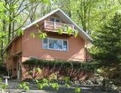 Pre-foreclosure Listing in GREENHILL RD HAMBURG, NJ 07419