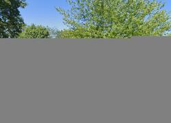 Pre-foreclosure in  CECIL CT Lakewood, NJ 08701