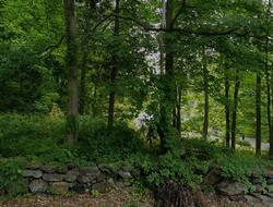 Pre-foreclosure in  CROTON LAKE RD Mount Kisco, NY 10549