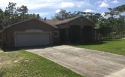 Pre-foreclosure Listing in N MALTESE DR DUNNELLON, FL 34433