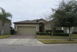 Pre-foreclosure in  MOUNTAIN SPRINGS PL New Port Richey, FL 34655