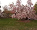  Union Rd, Spring Valley NY