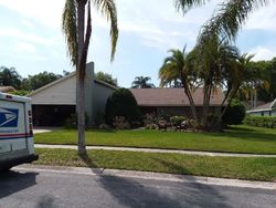 Pre-foreclosure in  BELMOOR DR Palm Harbor, FL 34685