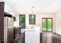 Pre-foreclosure in  THOMAS S BOYLAND ST Brooklyn, NY 11233