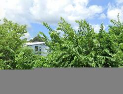 Pre-foreclosure in  SW 262ND ST Homestead, FL 33031