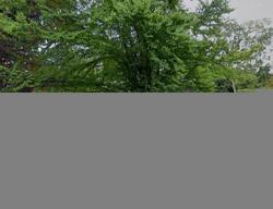 Pre-foreclosure in  HILLTOP RD Mendham, NJ 07945