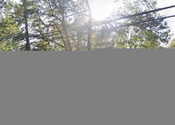  Andover Ave, Bridgewater NJ